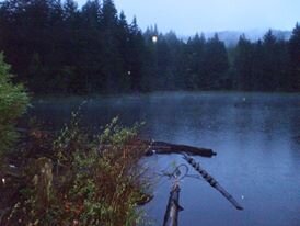 3805 87912800285 5627400 N