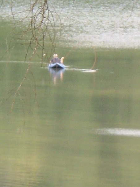 3805 87928720285 978618 N